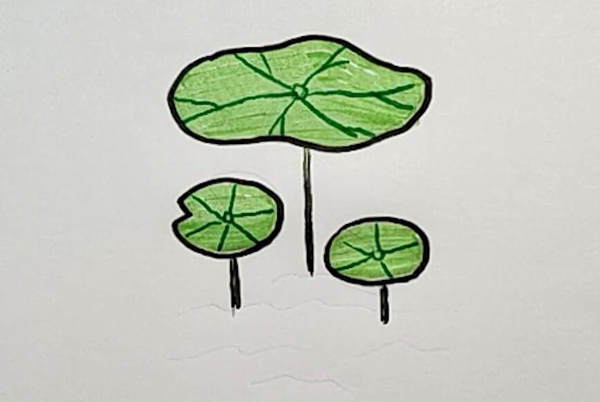 荷叶怎么画漂亮又简单 画荷叶最简单的画法简单又漂亮