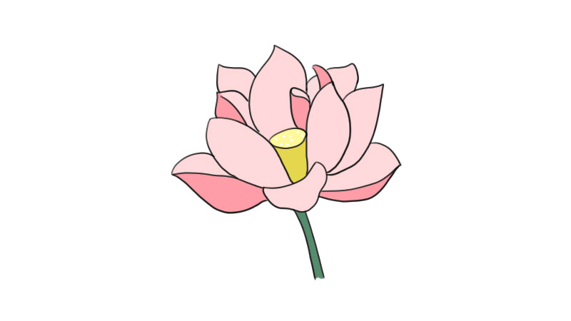 荷花简笔画 荷花怎么画简单又漂亮
