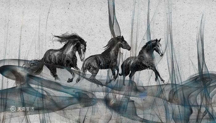 黑马比喻什么样的人 说一个人是黑马是什么意思插图3 黑马比喻什么样的人 说一个人是黑马是什么意思