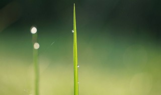 成长中历经磨难的名言 成长中历经磨难的名言有哪些插图 成长中历经磨难的名言 成长中历经磨难的名言有哪些