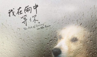 等你在雨中原文 作者是谁插图 等你在雨中原文 作者是谁