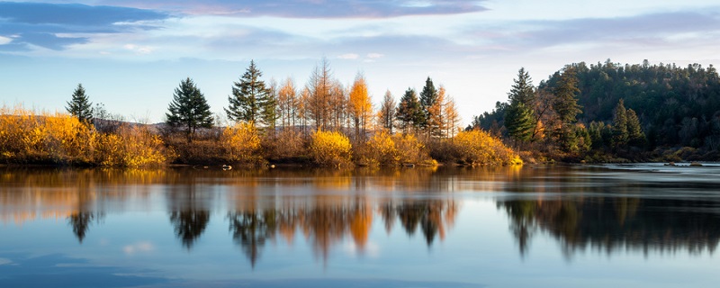 秋晚的江上表达了什么感情 秋晚的江上表达了作者什么的感情插图1 秋晚的江上表达了什么感情 秋晚的江上表达了作者什么的感情