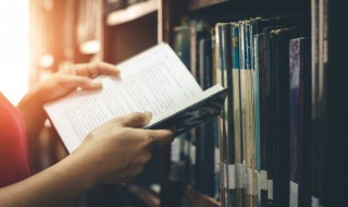 资本公积的意思 资本公积的意思举例说明插图 资本公积的意思 资本公积的意思举例说明