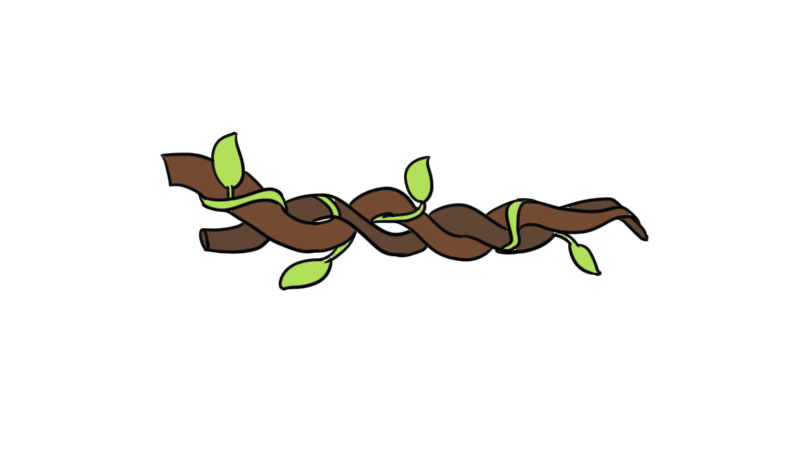 树藤简笔画怎么画