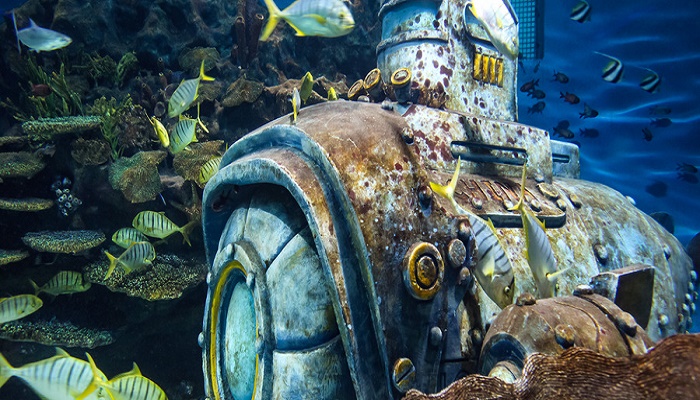 高考视力受限专业 高考视力受限的专业有哪些插图2 高考视力受限专业 高考视力受限的专业有哪些