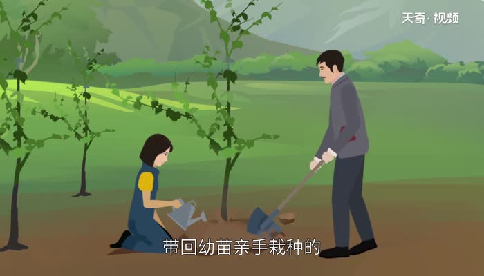 植树节来历和意义 植树节来历插图1 植树节来历和意义 植树节来历