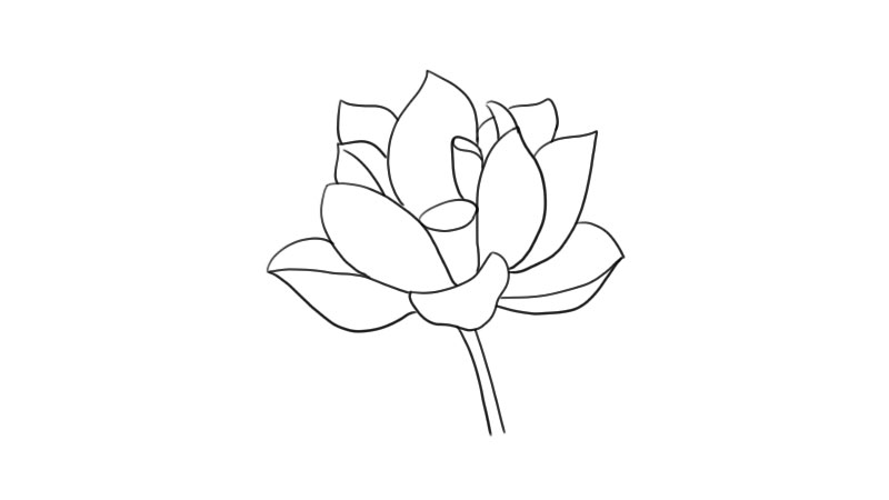 荷花简笔画 荷花怎么画简单又漂亮