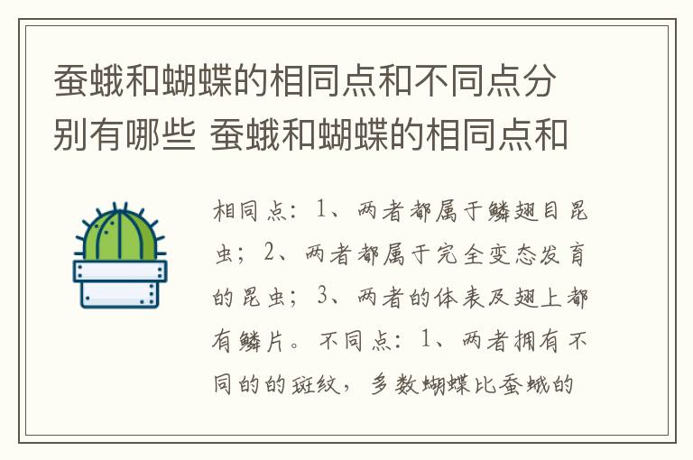 蚕蛾和蝴蝶的相同点和不同点分别有哪些 蚕蛾和蝴蝶的相同点和不同点有哪些插图 蚕蛾和蝴蝶的相同点和不同点分别有哪些 蚕蛾和蝴蝶的相同点和不同点有哪些