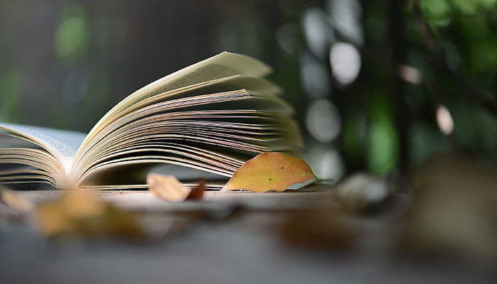 子乃曰可教射中的乃是什么意思 子乃曰可教射中的乃意思是什么插图2 子乃曰可教射中的乃是什么意思 子乃曰可教射中的乃意思是什么