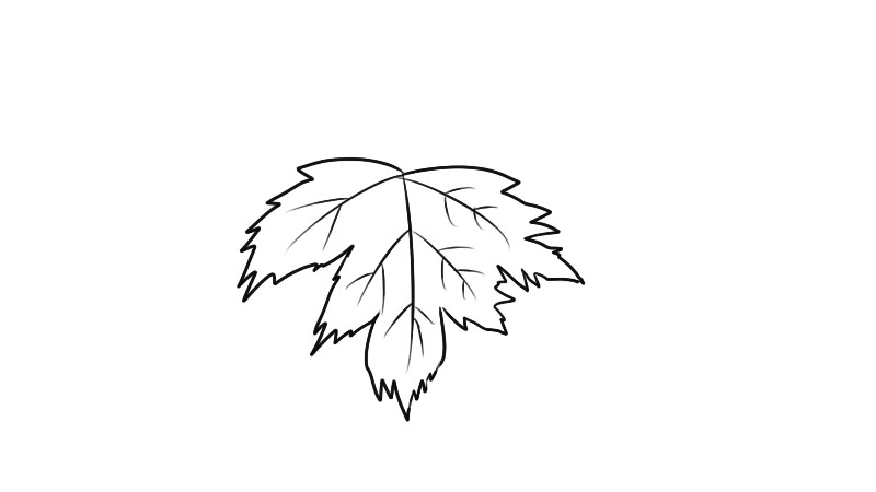 河马草简笔画 河马草简笔画怎么画简单又漂亮