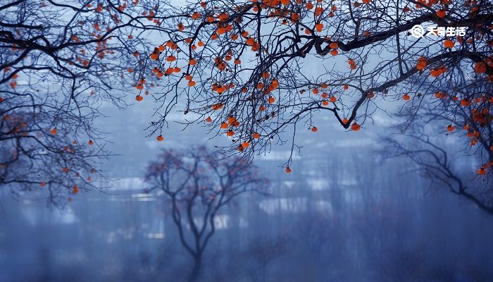 幽州新岁作翻译赏析 幽州新岁作传及翻译