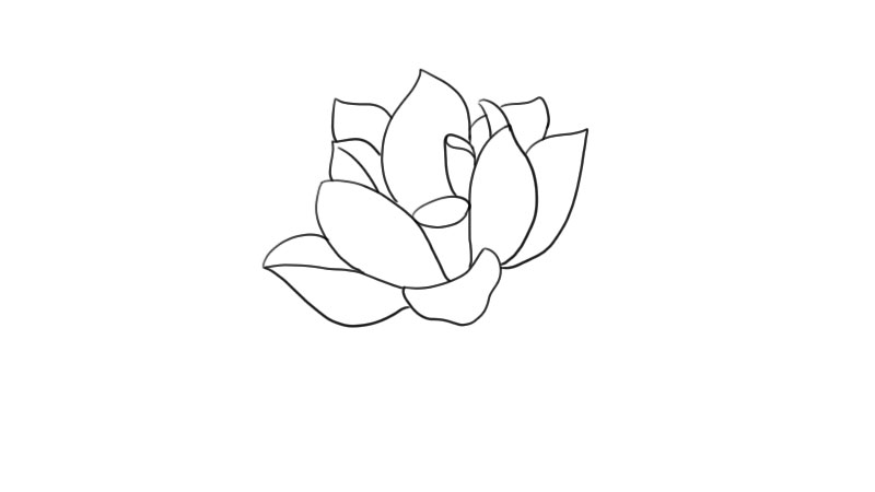 荷花简笔画 荷花怎么画简单又漂亮