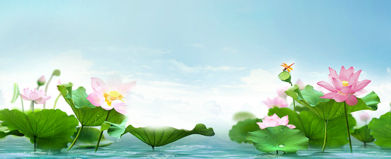 如梦令古诗带拼音 如梦令其一古诗的读音插图1 如梦令古诗带拼音 如梦令其一古诗的读音