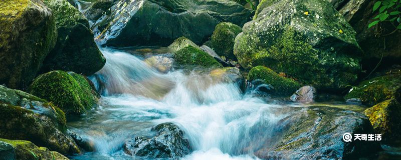 小池写了哪几种景物 小池写了什么插图1 小池写了哪几种景物 小池写了什么