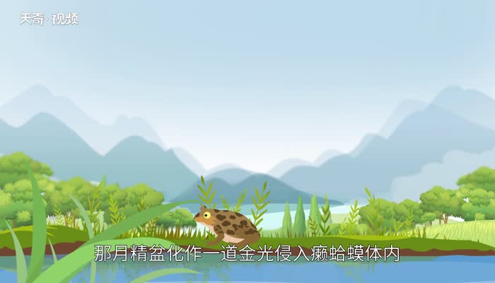 癞蛤蟆想吃天鹅肉歇后语 癞蛤蟆想吃天鹅肉歇后语下一句插图2 癞蛤蟆想吃天鹅肉歇后语 癞蛤蟆想吃天鹅肉歇后语下一句