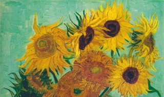 梵高向日葵赏析 梵高向日葵如何赏析插图 梵高向日葵赏析 梵高向日葵如何赏析