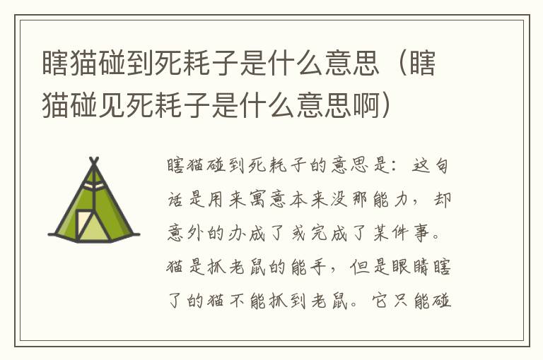 瞎猫碰到死耗子是什么意思(瞎猫碰见死耗子是什么意思啊)插图 瞎猫碰到死耗子是什么意思(瞎猫碰见死耗子是什么意思啊)