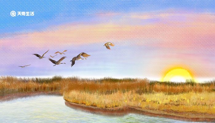 空袭警报打一成语 空袭警报打一成语是什么成语插图2 空袭警报打一成语 空袭警报打一成语是什么成语