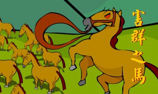 害群之马的故事 害群之马的故事介绍插图 害群之马的故事 害群之马的故事介绍