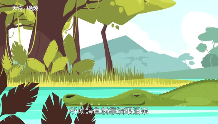 鳄鱼的眼泪歇后语 鳄鱼的眼泪歇后语是什么插图1 鳄鱼的眼泪歇后语 鳄鱼的眼泪歇后语是什么