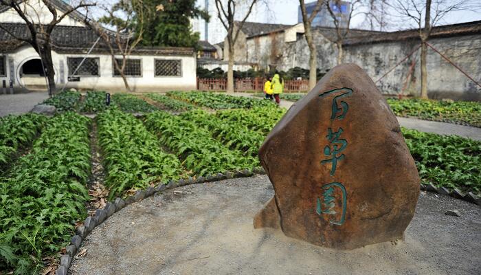 从百草园到三味书屋主旨 从百草园到三味书屋主题思想插图2 从百草园到三味书屋主旨 从百草园到三味书屋主题思想