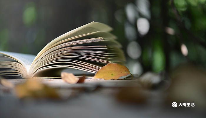 谏逐客书第二段翻译 谏逐客书第二段的翻译插图2 谏逐客书第二段翻译 谏逐客书第二段的翻译
