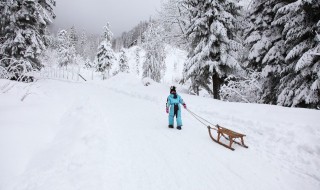 冰雪寄语为主题写一封信插图 冰雪寄语为主题写一封信