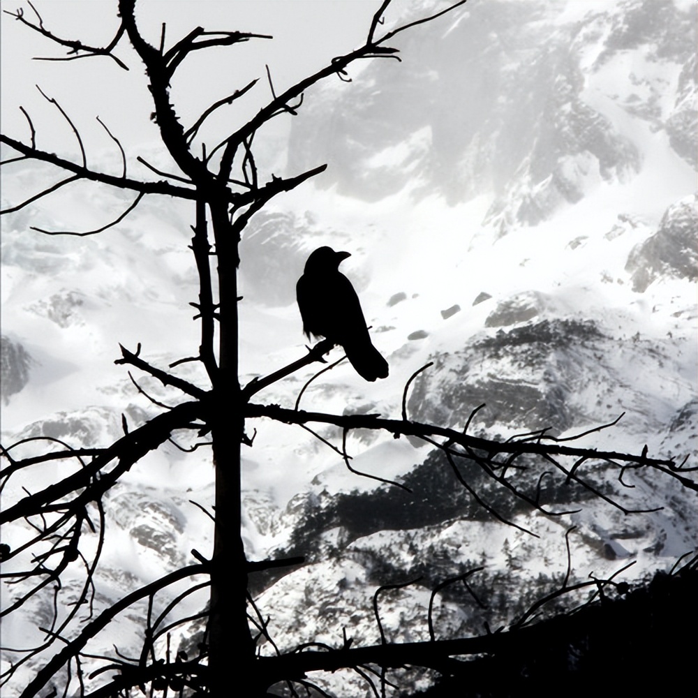 天净沙秋思马致远(天净沙秋思全诗翻译)插图5 天净沙秋思马致远(天净沙秋思全诗翻译)