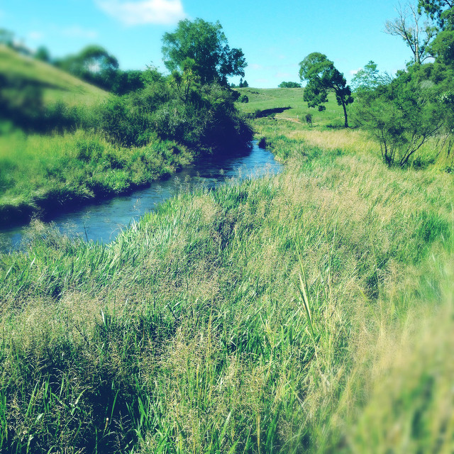 形容夏天热的唯美句子(太热了想发个朋友圈)插图6 形容夏天热的唯美句子(太热了想发个朋友圈)