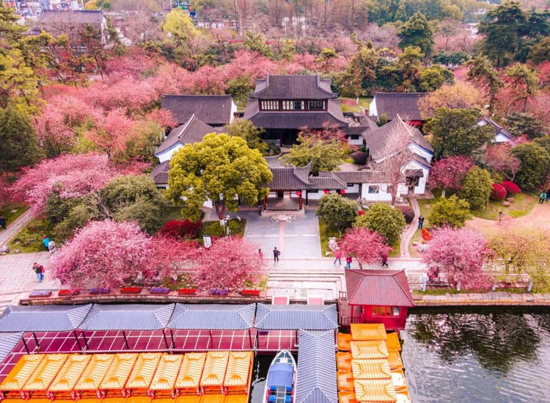清明节诗词有哪些(清明节寄托哀思的语句)插图10 清明节诗词有哪些(清明节寄托哀思的语句)