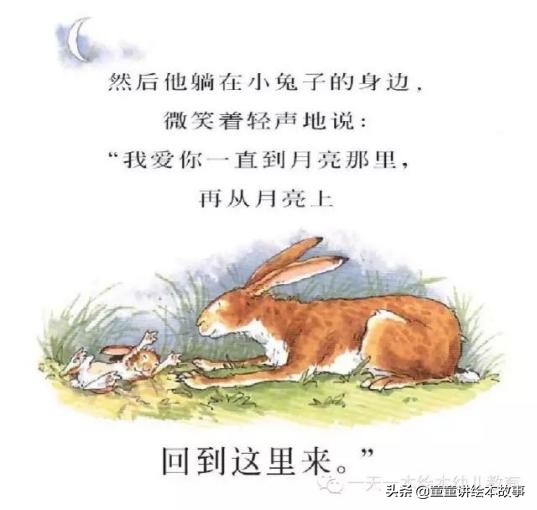 猜猜我有多爱你故事内容(很暖很甜的睡前小故事)插图5 猜猜我有多爱你故事内容(很暖很甜的睡前小故事)