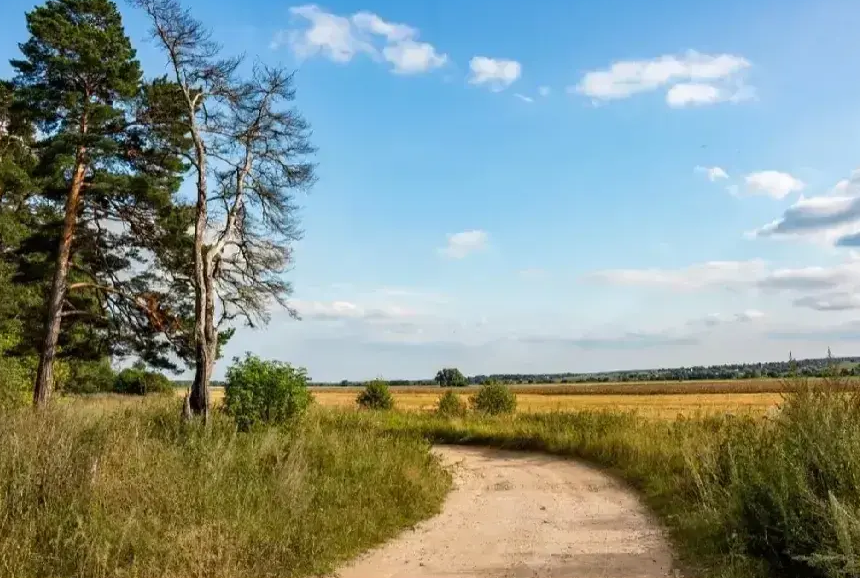 精选唐朝诗人韩偓七言绝句15首