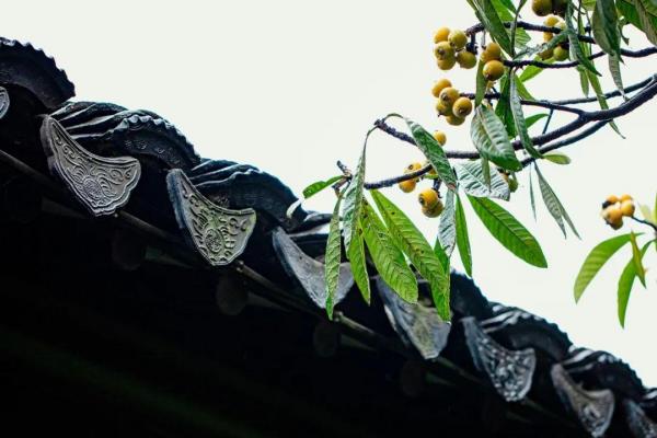 45首立夏的诗词（描写立夏的诗句古诗词）