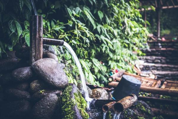 10首经典咏物诗词，一首一个千古名句，苏轼和陆游的最经典