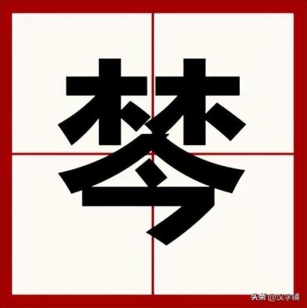 棽怎么读?棽的读音和意思!插图 棽怎么读?棽的读音和意思!