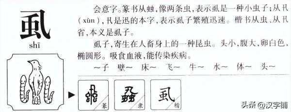 虱怎么读？虱的读音和意思！