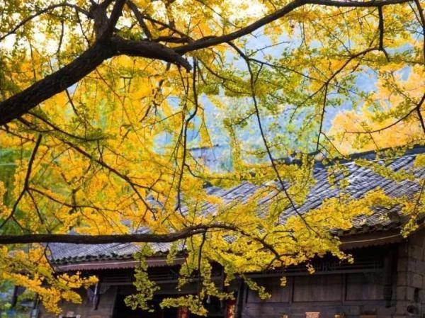 精选苏轼七言绝句诗27首