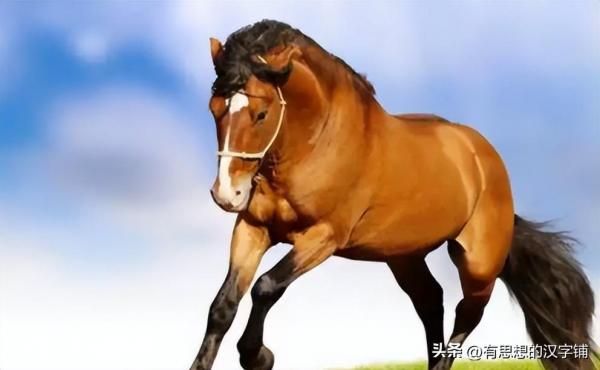 的卢怎么读?“的”字3个读音你念的哪个?插图 的卢怎么读?“的”字3个读音你念的哪个?