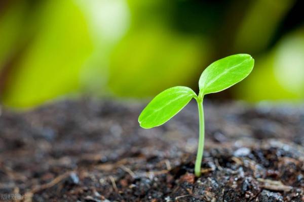 扽擓熥谝怎么读？您会读“扽擓熥谝”这四个汉字吗？天天挂在嘴边上，但却鲜有人知