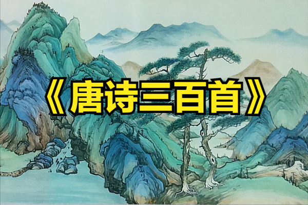 《唐诗三百首》里的诗歌，你会背多少首？（唐诗三百首有哪些诗）