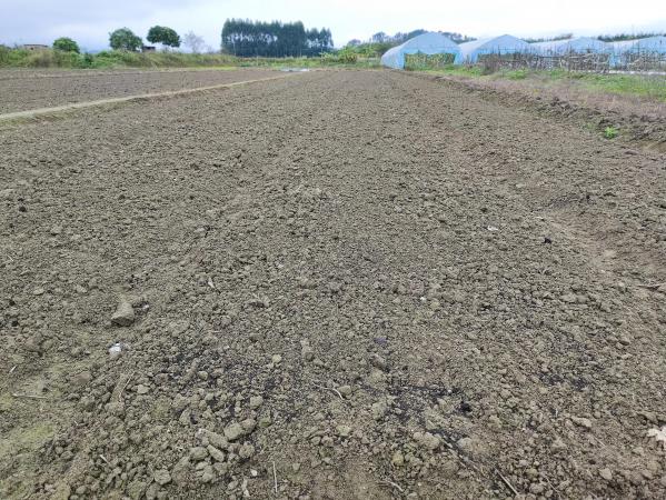 精选田园七言绝句诗15首