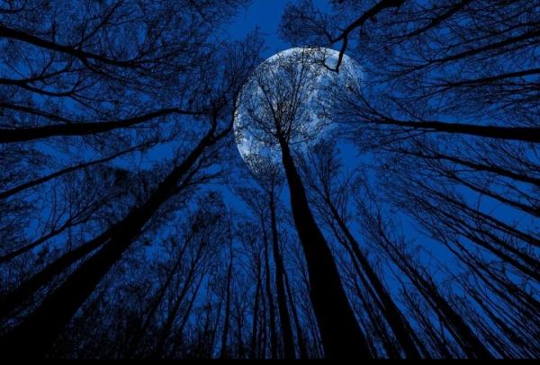 精选前人写梦七绝诗15首