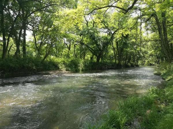 精选前人写梦七绝诗15首