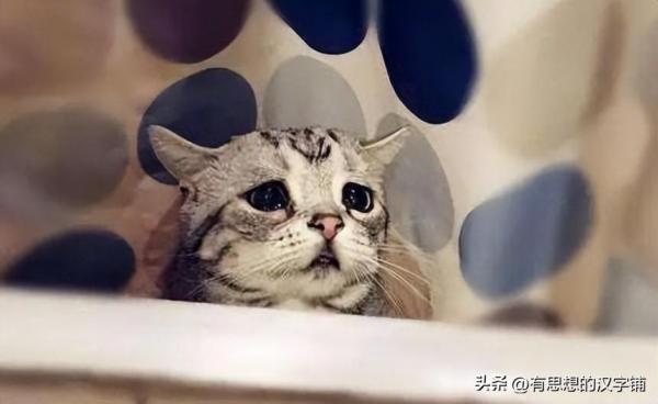 牵强怎么读？“强”字你不会是念“qiáng”吧！