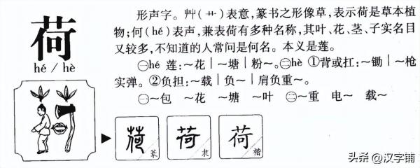 荷尔蒙怎么读？“荷”字是读音2声还是4声？