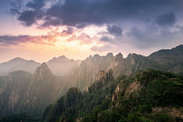 10首经典咏物诗词，一首一个千古名句，苏轼和陆游的最经典