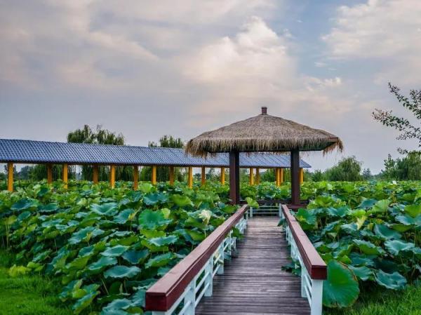 精选范成大七言绝句诗21首