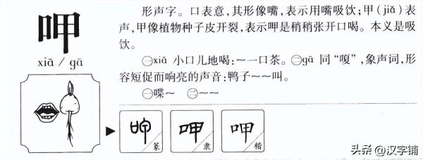 呷茶怎么读音？呷茶是哪里的方言？来看看吧！