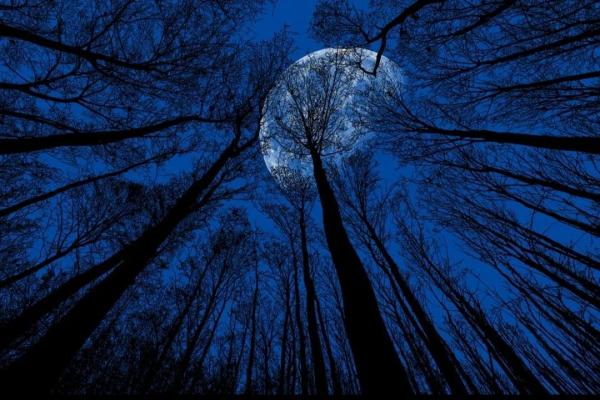 精选前人写月七言绝句诗21首