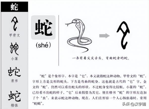 委蛇怎么读？“蛇”可不是念“shé”啊